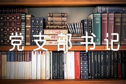 党支部书记抓基层党建述职点评意见