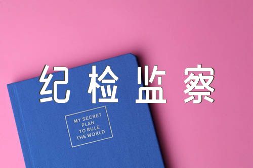2023纪检监察干部述职述廉报告范文(精选五篇)