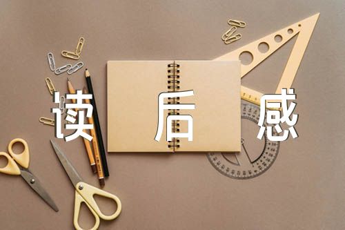 西游记读后感开头【汇编七篇】