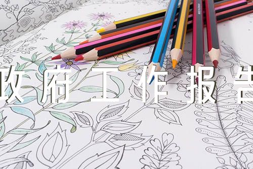 政府工作报告评价发言三篇