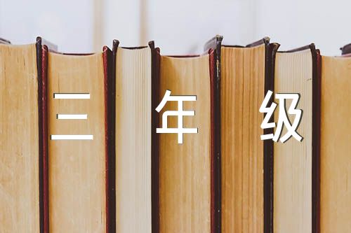 中国传统节日作文300字三年级【6篇】