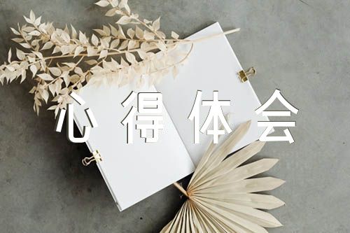 坚持系统观念心得体会精选五篇