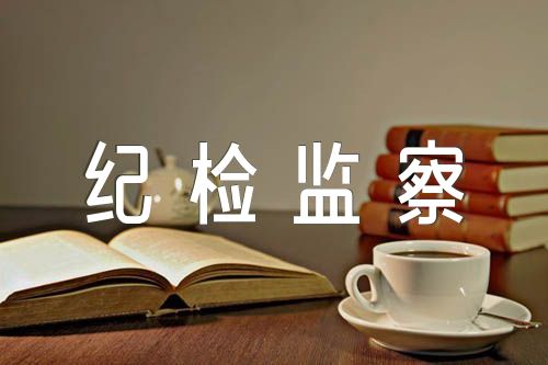 国企纪检监察干部教育整顿落实情况报告范文(通用5篇)
