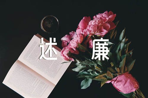 巡察办个人述职述廉报告精选3篇