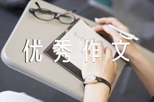 优秀作文开头结尾【八篇】