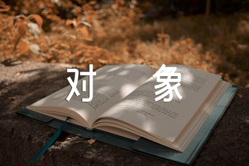 个人总结入党发展对象(锦集6篇)