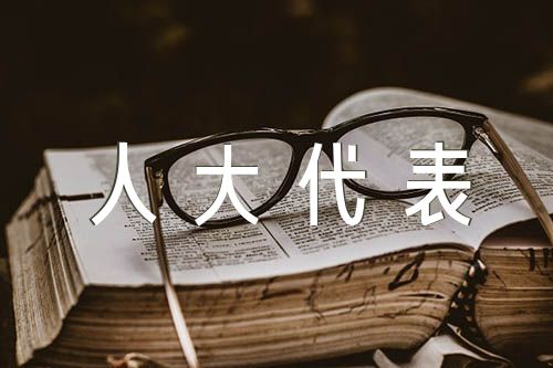 人大代表履职情况个人总结【汇编三篇】
