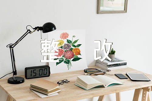 退休党员检视问题整改措施【汇编三篇】