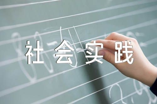 社会实践报告模板精选3篇