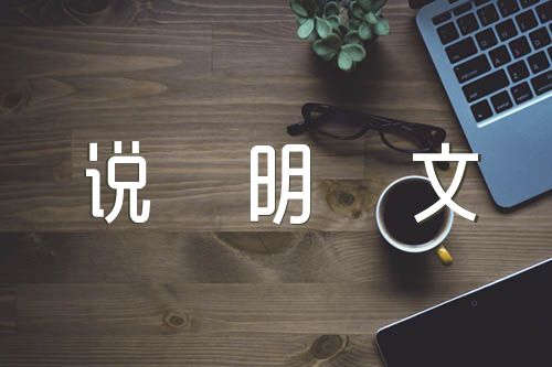我的生活少不了它作文说明文精选三篇