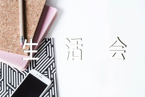 2022年组织生活会整改报告精选8篇