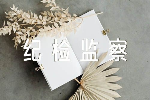 县(市、区)纪检监察干部队伍教育整顿工作汇报精选5篇