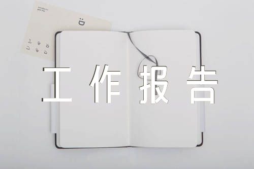 党建带队建工作典型案例党委党建工作报告【四篇】