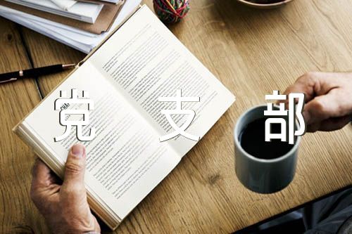 优秀党支部简要事迹300字精选三篇