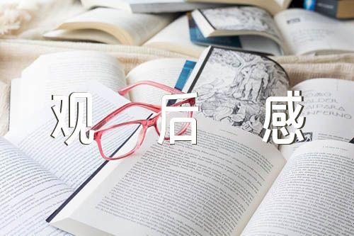 领航第四集观后感1500字左右范文三篇
