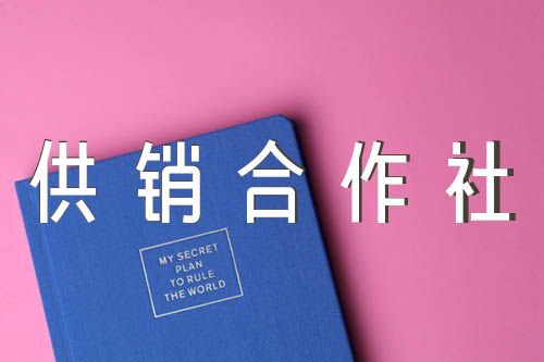市供销合作社2024年巡察整改报告精选六篇