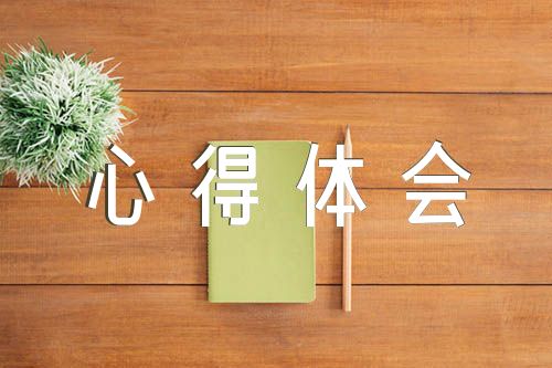 中央八项规定的精神心得体会范文(精选6篇)