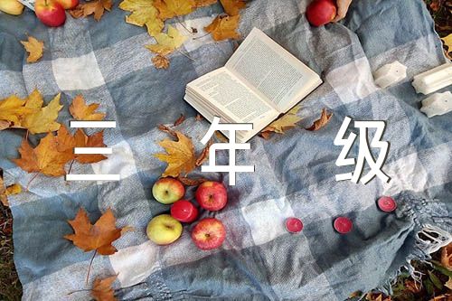 中国传统节日300字三年级精选四篇