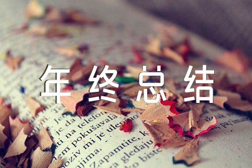羽毛球年终总结致词(通用7篇)