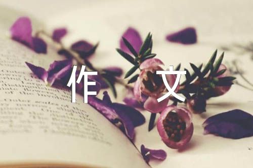 写事作文500字汇编9篇