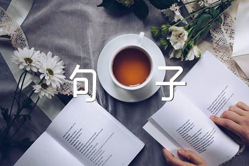 作文开头优美句子集合3篇