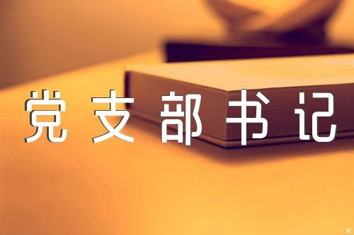 党支部书记抓党建述职评议会主持词集合4篇