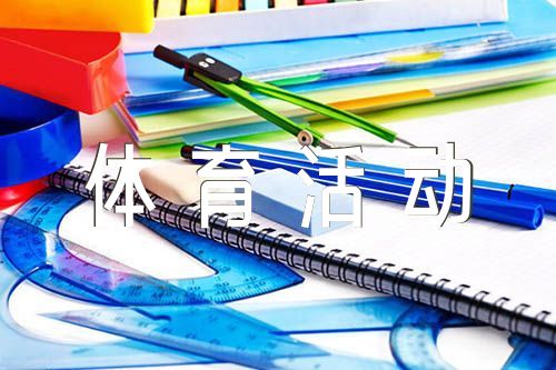 掌上综素c5体育活动写实记录【六篇】