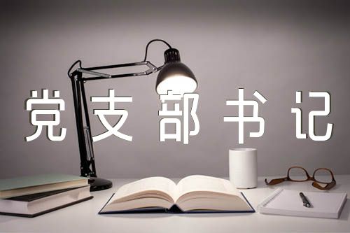 农村党支部书记卸任感言集合3篇