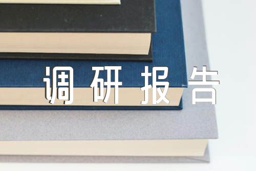 镇网格员队伍现状及存在问题的调研报告汇编5篇