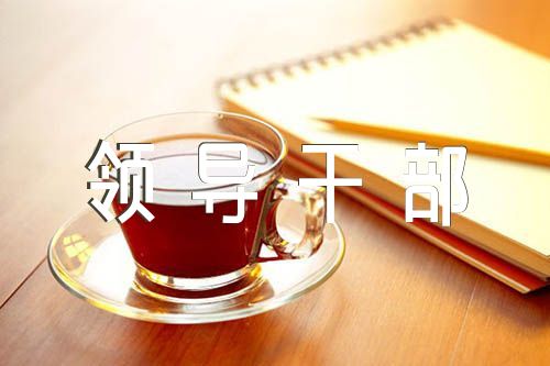 领导干部缺点不足评语范文(精选四篇)