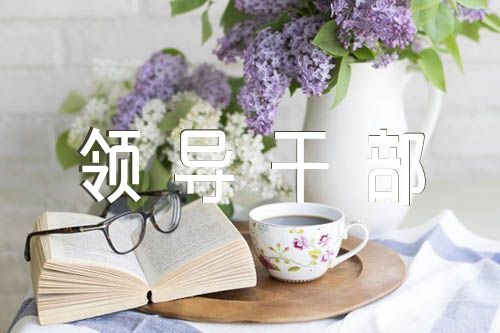 2023年领导干部个人述职述廉报告精选四篇