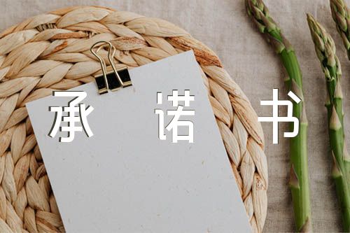 服從業(yè)主領(lǐng)導承諾書錦集六篇