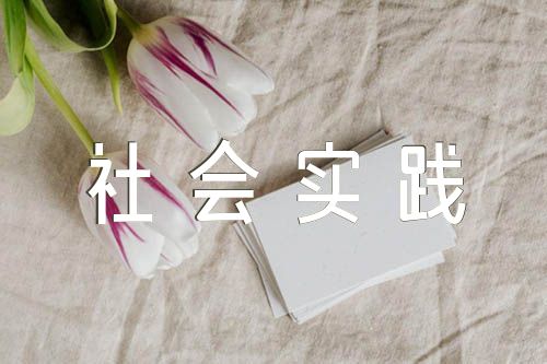 思想政治社会实践报告800字【5篇】