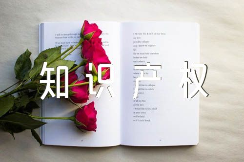 2023年学校世界知识产权日活动方案范文五篇