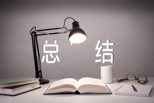 巡视工作个人总结精选四篇