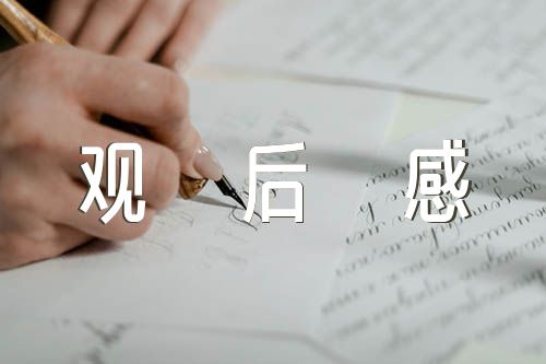 红心向党纪录片观后感锦集五篇