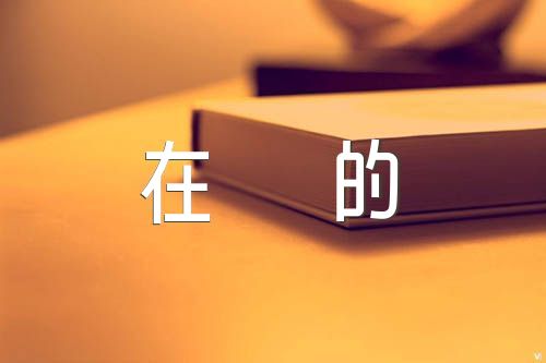 政治站位方面存在的问题(锦集7篇)