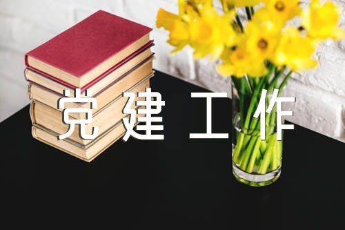 抓党建工作力度不够的整改措施范文六篇