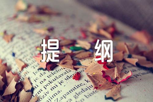 政治谈话提纲范文(精选8篇)