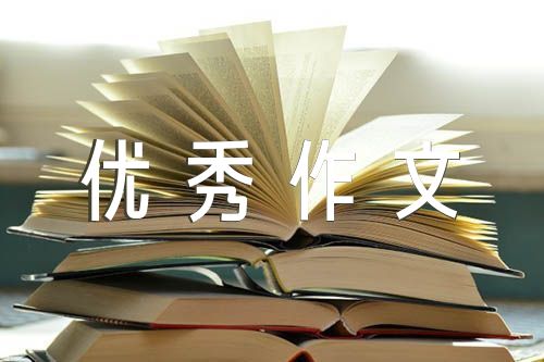 初中作文800字优秀作文(锦集3篇)