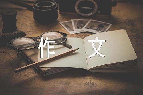 写人作文800字锦集六篇