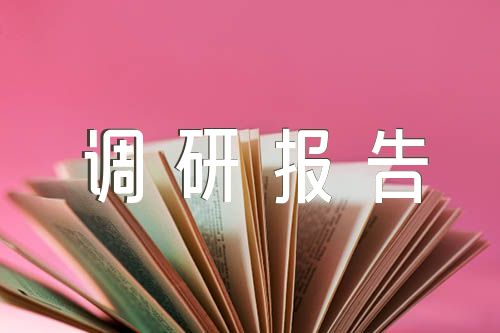 初中作文主题教育调研报告集合4篇