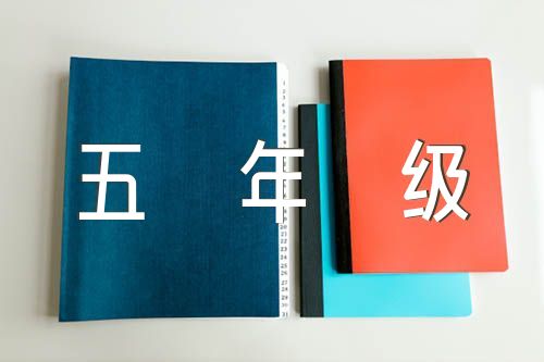 关于五年级数学小论文【三篇】