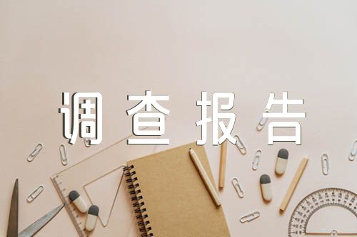 大學(xué)生就業(yè)調(diào)查報(bào)告300字范文(精選四篇)