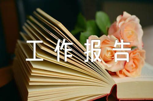 关于发展党员工作报告【四篇】