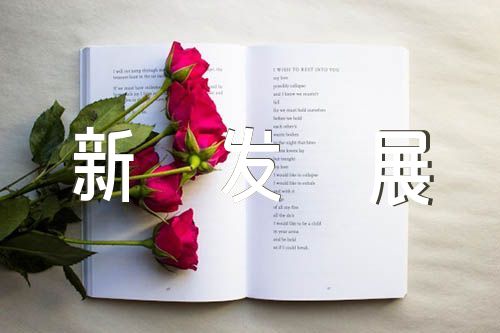 新发展向未来征文600字(合集4篇)