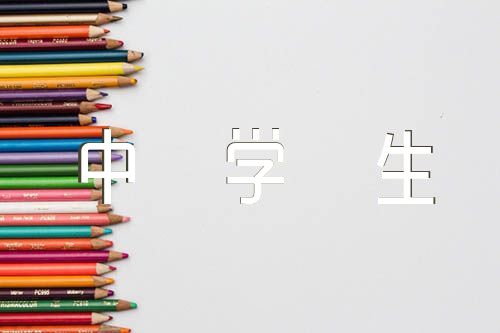 上海中学生典型事例300字锦集六篇