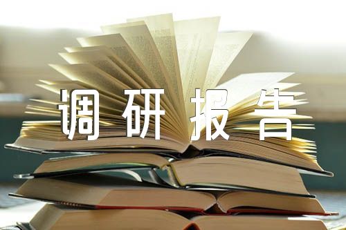 駐村第一書記調(diào)研報告范文匯總七篇