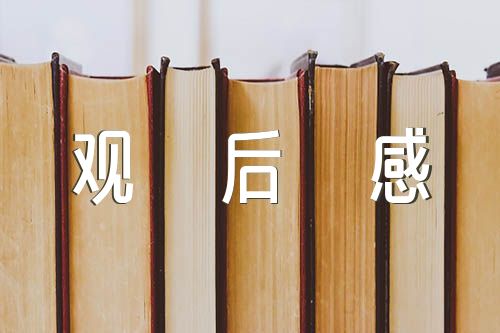 大国工匠观后感集合3篇
