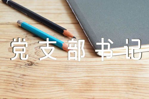 党支部书记民主评议个人总结精选七篇